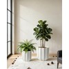 10 Inch Ceramic Plant Pot for Indoor Plants with Drainage