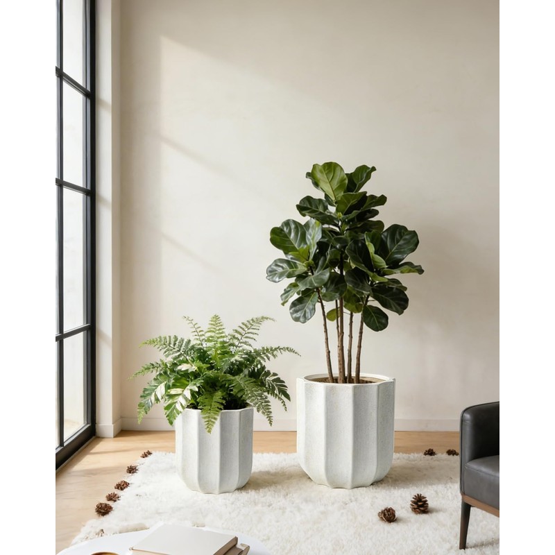 10 Inch Ceramic Plant Pot for Indoor Plants with Drainage