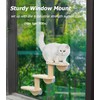 Cat Window Ladder 3-Levels for Indoor Cats Climbing Wood Window