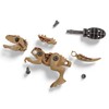 MIJOMA DIY Dinosaur Building Kit - Build Your Mini Dinosaur,
