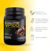 Evolution VP100 Proteína Vegana de Chícharo y Arroz