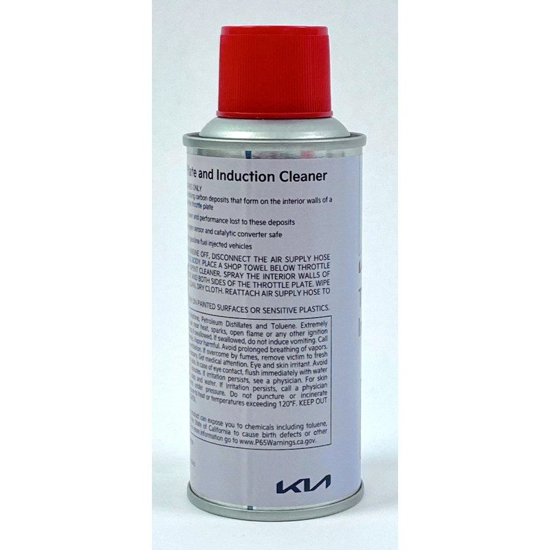 Kia OEM Throttle Body and Intake Cleaner 4 oz Set