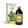 Dr. Giorgini FICO (Ficus Carica) Gemmoderivato Concentrato Liquido Analcoolico -