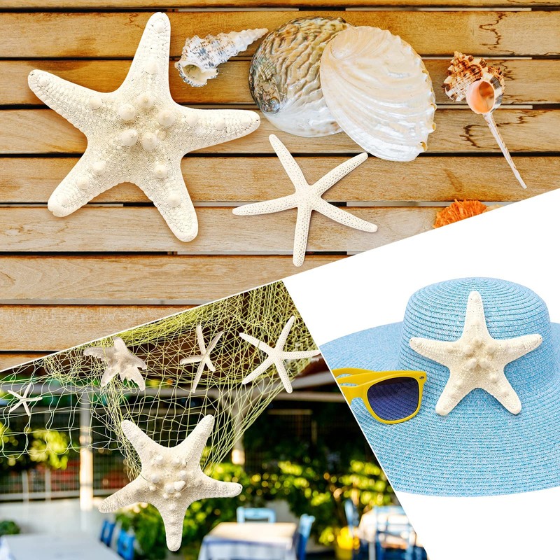 SKOOLOVE 10PCS Natural Starfish Mixed, Finger Starfish and Bread Starfish