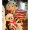 HAPEE Dog Sweaters for Christmas Santa Pet Cat Clothes,Dog Accessories,