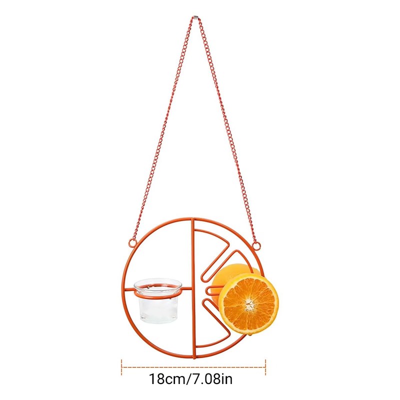 AIMALL Decorative Hummingbird Feeder with Orange Citrus Design – 7.08”