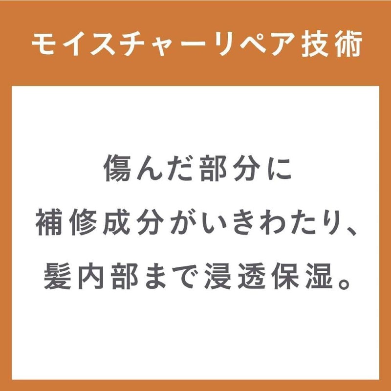 [Bulk Purchase] Essential Damage Care Rich Premier Mini Set (1