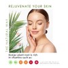 Esponjas Faciales Konjac Limpieza Tratamientos Paquete 100 Naturales Libres Microplásticos