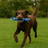 Durable Rope Dog Chew Toy for Tug and Fetch, TPR