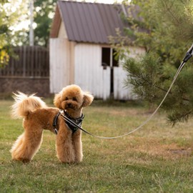 Ferplast ERGOCOMFORT G Ergonomic Dog Lead - Secure Grip with Soft Padding - Anti-Abrasion - Extra-Resistant Finished Seams - Italian Design - 120 x 1.5 cm, Grey