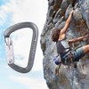 D Type Carabiner Rock Climbing Aviation Aluminum Outdoor Master Lock