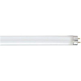 Satco 32 watts T8 1 in. Dia. x 47.78 in. L Fluorescent Bulb Cool White Linear 3500 K 1 pk