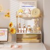 DELAMU 2-Tier 2-Drawer Countertop Organizer, Ideal for storing cosmetics, skincare,