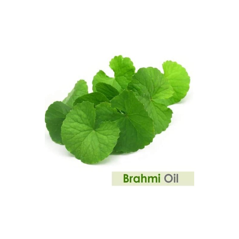 Brahmi (Bacopa monnieri) Essential Oil 100% Pure & Natural -