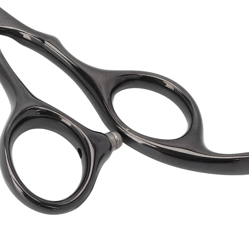 6 Inch Hair Cutting Scissors Stainless Steel Professional Shears Salon