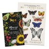 Kit Yuya Máscara 10 Aceites + Sombra Metamorfosis 18 Tonos