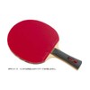 Butterfly TAMASU TB5 Alpha + Sriver-EL 16970 Table Tennis Racket