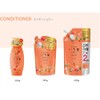 Ichikami Dense W Moisturizing Care Shampoo Refill 2 Doses, 24.0