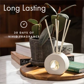 ScentAir - Infused Liquidless Reeds - Santal & Red Cedar