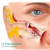 LVCHEN Human Ear Model Anatomy - Anatomical 3D Ear Model