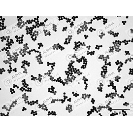 Alpha Nanotech Colloidal Silica Nanoparticles (1000 nm, 10 ml, 10 mg/ml)