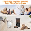 Automatic Cat Feeder, Cat Food Dispenser with Stainless Steel Bowl,