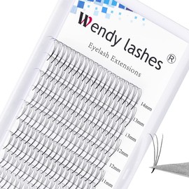 Volume Eyelash Extensions, 3D Eyelash Extension, Eyelash Fans, Pre-Fanned Eyelashes, 0.07 Mix 8-14 mm, D Curl, Silk Eyelashes, Ready-to-Use Fans, Premade Fans Eyelash Extensions (3D-0.07-D-8-14)