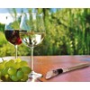 Keep your WINE COLD! 3-in-1 Wine Chiller Stick - Stainless