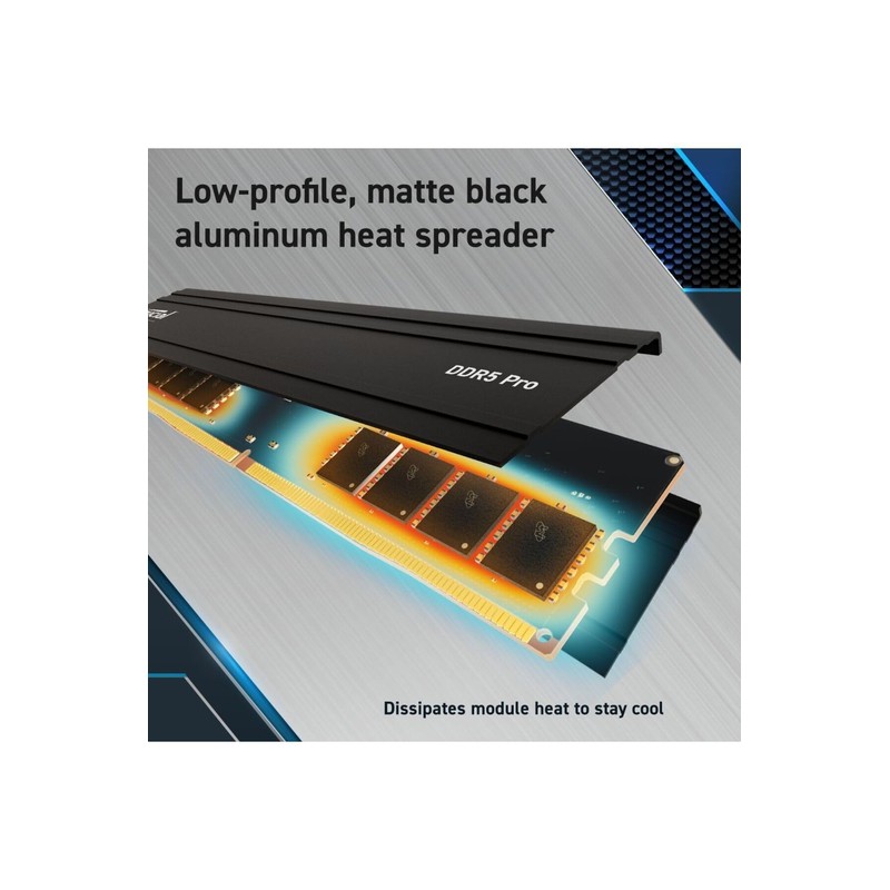 CRUCIAL PRO 32G (1x32G) DDR5-5600 *CP32G56C46U5