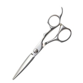 DEEDS Japanese Shears Professional Maker GUZ Sword Scissors Sword Blade (5.5 inch) Hairdresser Hair Cutting Professional