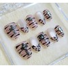 Hopi Gyaru [Handmade Nail Tips] Magnet Gel Artist Recommendation -