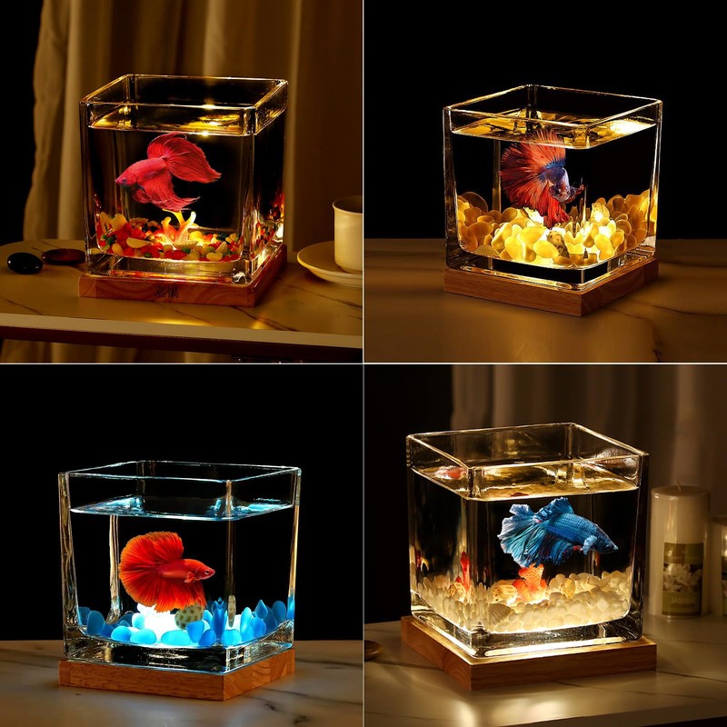 SARUFO 0.81Gallon Fish Tank Kit Desk Aquarium Set Small Glass