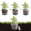 LSRVNM Set of 4 Stainless Steel Root Protection for Plants,