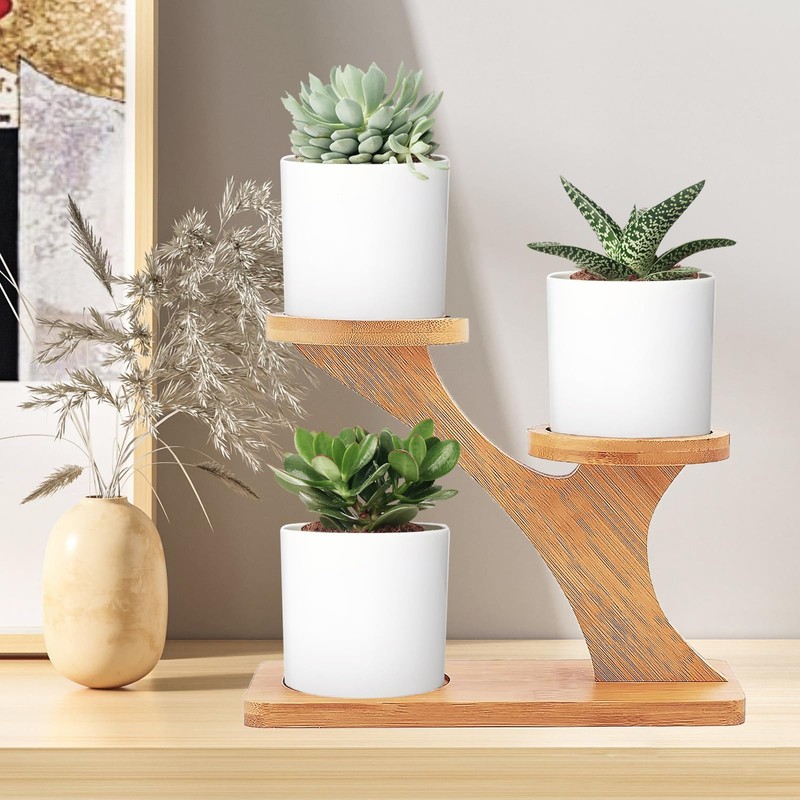 AKONE Cactus Planter Succulent Pot Bamboo Tray