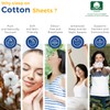 THREAD SPREAD Egyptian Cotton Sheets King Size - 600 Thread