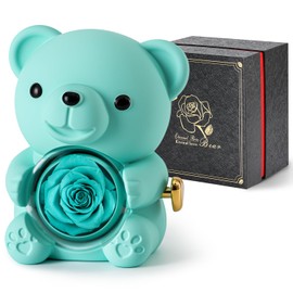 Ariceleo Bear with Preserved Rose - Hidden Jewellery Box & Heart Necklace Women: Valentine's Day, Mother's Day, Wedding, Anniversary - In Gift Box (Light Blue)