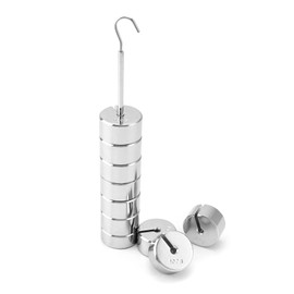 QWORK Lab Slotted Mass Set, Chromium-Plated Metal Slotted Weights, One Set - Total 1000g - Includes 9 Weights (100g Each) & One Hanger (100g)