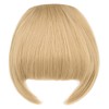 Yamel Bangs Hair Clip in Bangs Hair Extensions Synthetic Ash