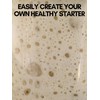 Dehydrated Sourdough Starter Culture | New England Sourdough Starter Co.