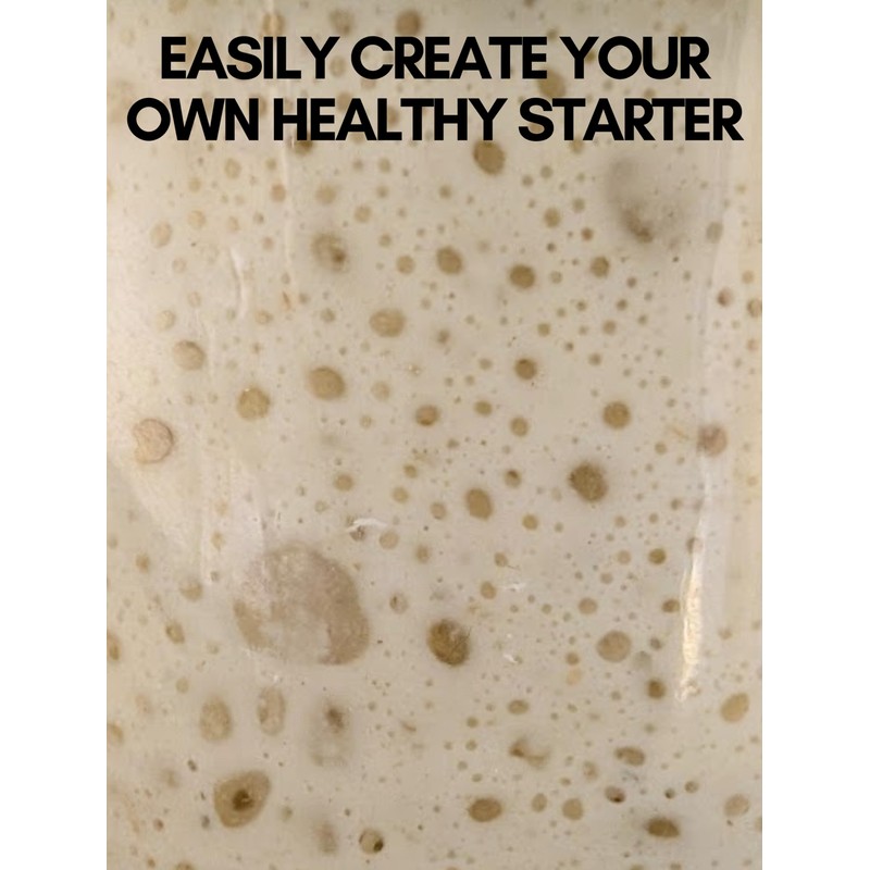 Dehydrated Sourdough Starter Culture | New England Sourdough Starter Co.