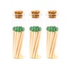 River Birch Decorative Matches in a Bottle with Striker -