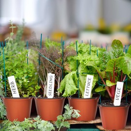 Bluckincle Bluckincle 100 Pcs Plant Nursery Pots, 4 Inch Small Plant Seedling Pots with Labels Plastic Plant Flower Pots with Drainage Holes Indoor Outdoor for Succulent Cutting Transplanting