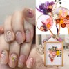 520 Mini Pressed Dried Flowers for Resin Crafts with 5