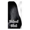 Shampoo Tinte Cubre Canas , Jengibre Sin Amoniaco 500ml Negro