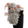 WIG ME UP - 46-A+B-ZA68R Wig and Beard Set Deluxe