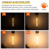 Sphoon 6W Dimmable T10 8.9inch LED Bulb E26 Light Bulb
