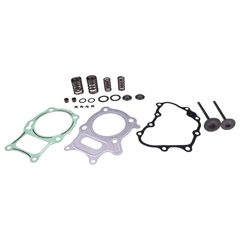 Lesurey Cylinder Head Valve Gasket Kit Compatible with Honda TRX250TM