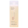 Giovanni Root 66 Max Volume Shampoo, 250ml
