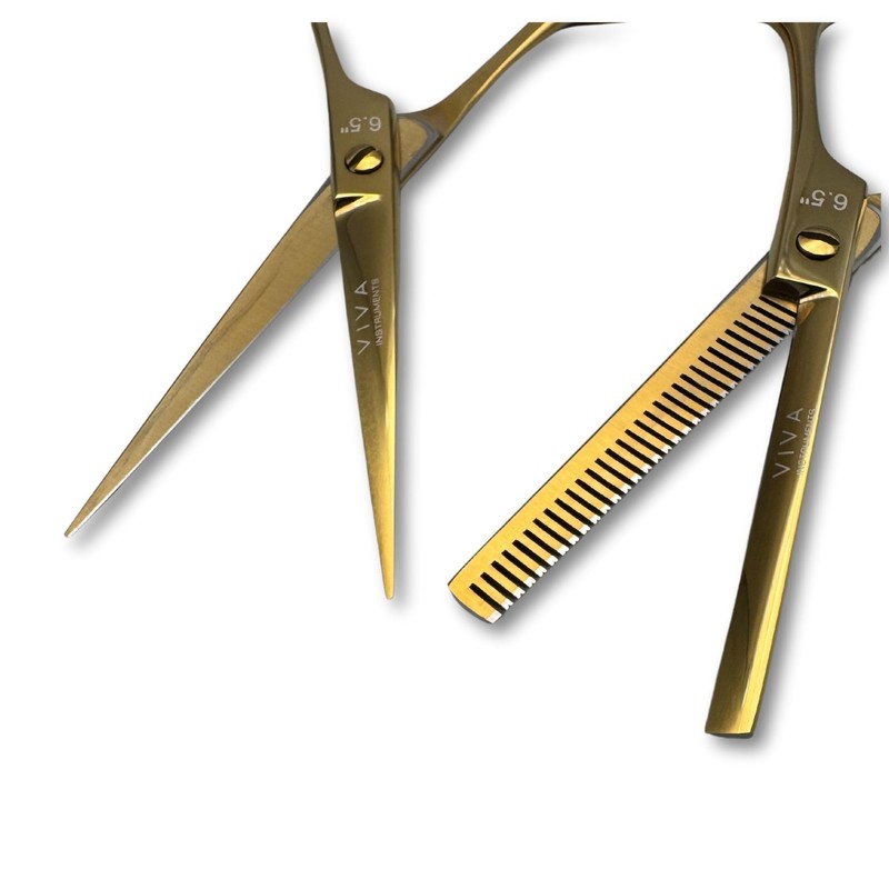 Professional 6.5 Inch Hair Scissors & Thinning Shears Texturing Set
