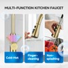 Gold Kitchen Faucet with Sprayer,Single Handle Kitchen Sink Faucet with